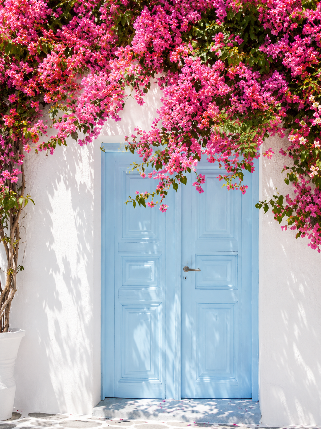 Puerta en Flor