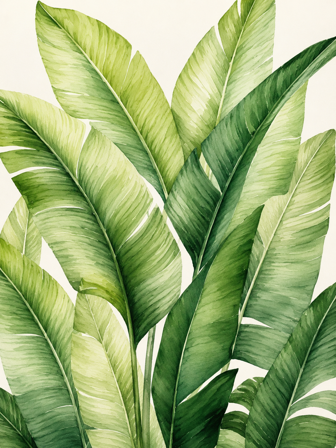 Bananero Verde