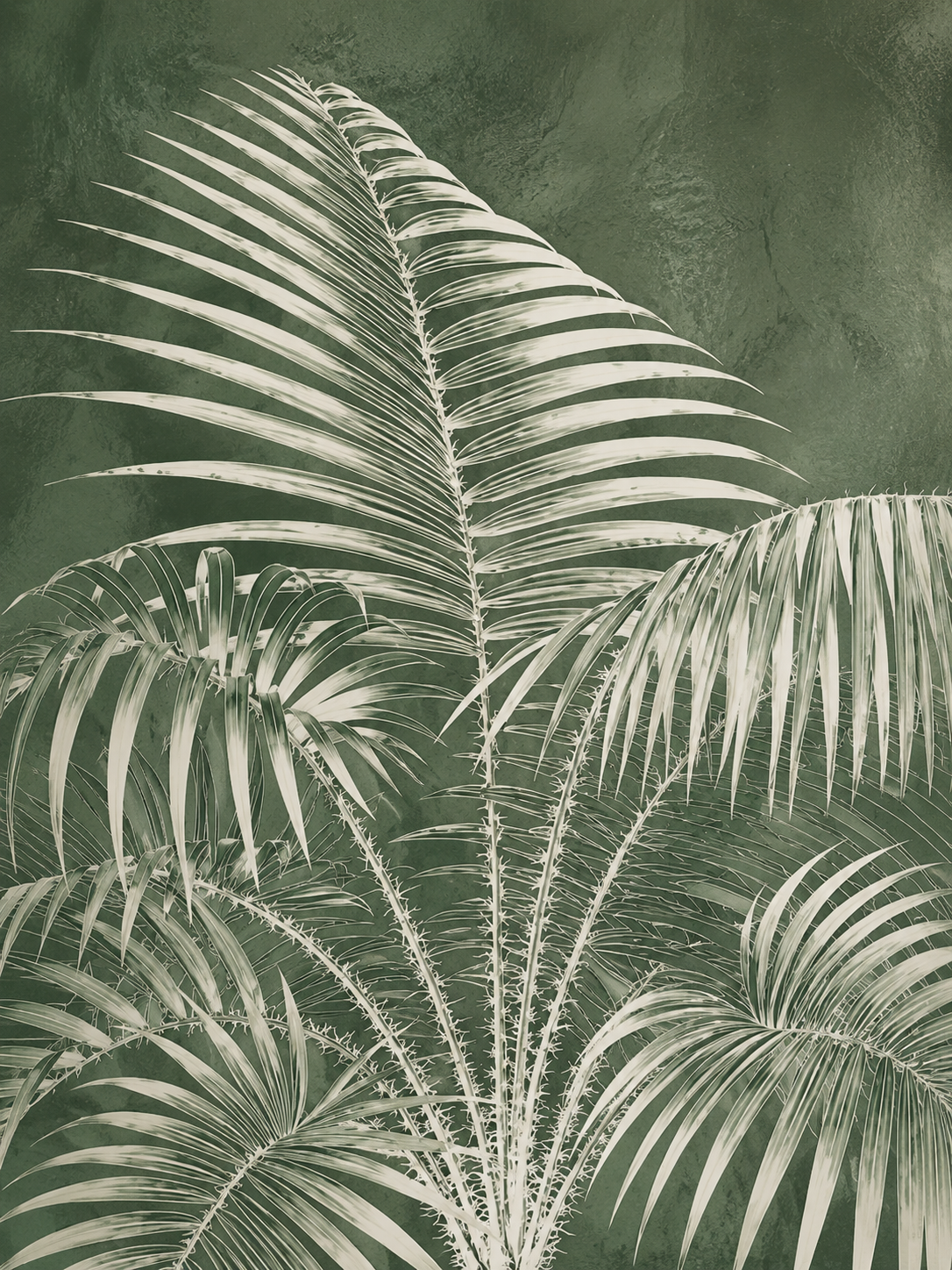 Palmas de Jade