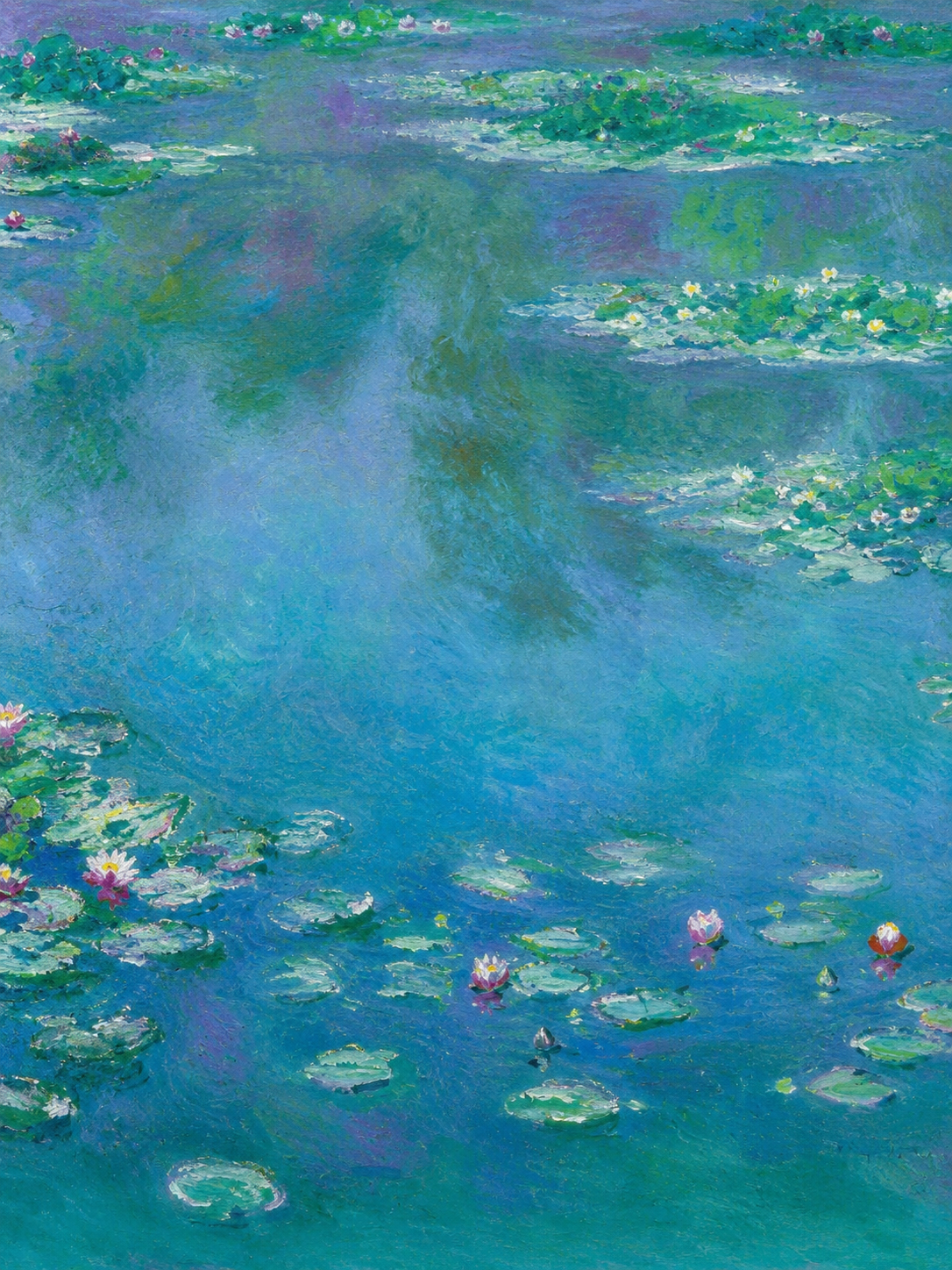 Monet Nenúfares