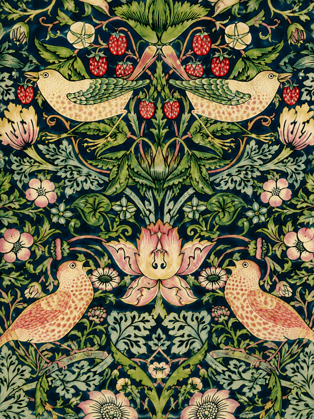 Morris Aves Frutos