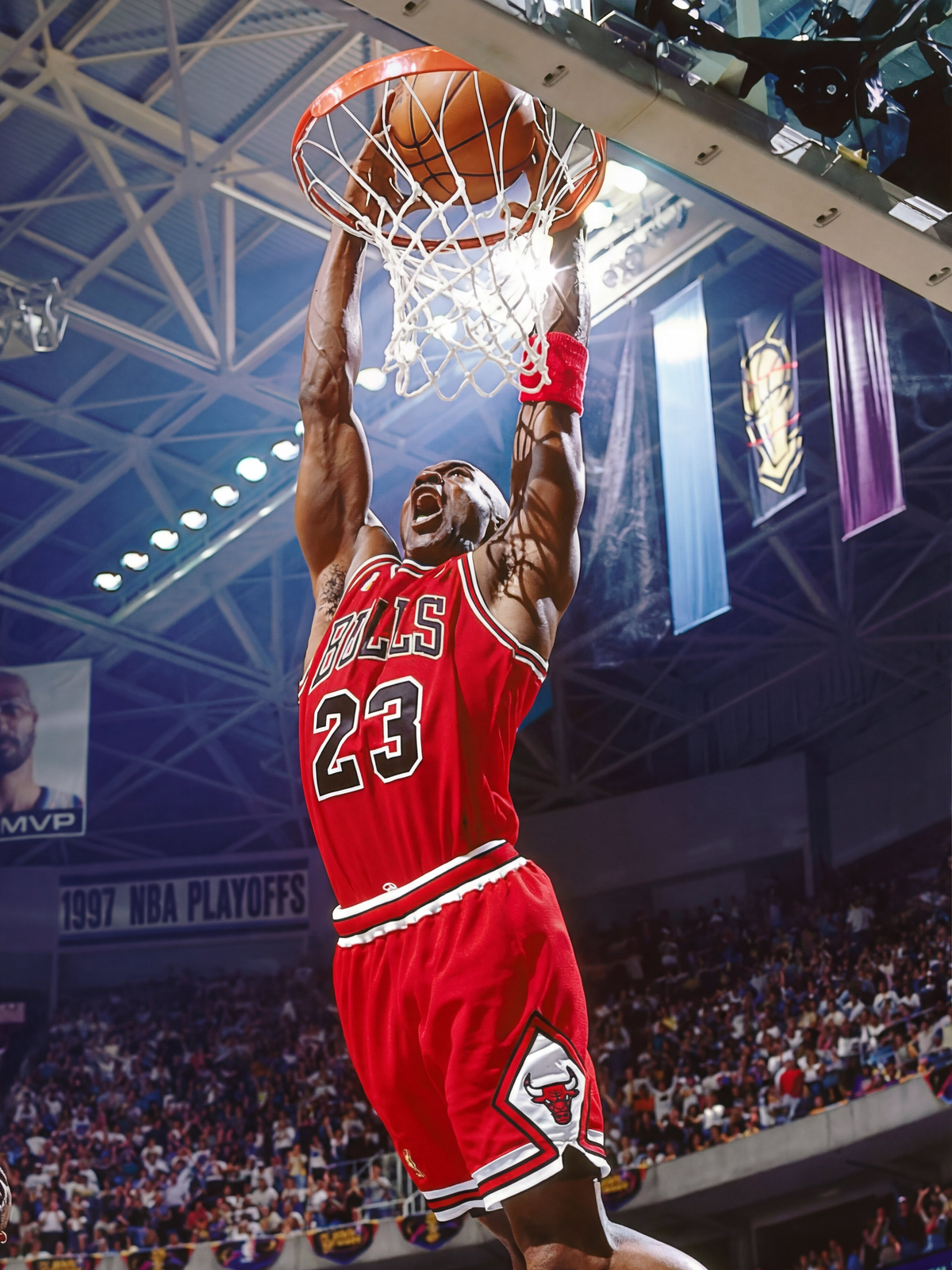 Michael Jordan Mate
