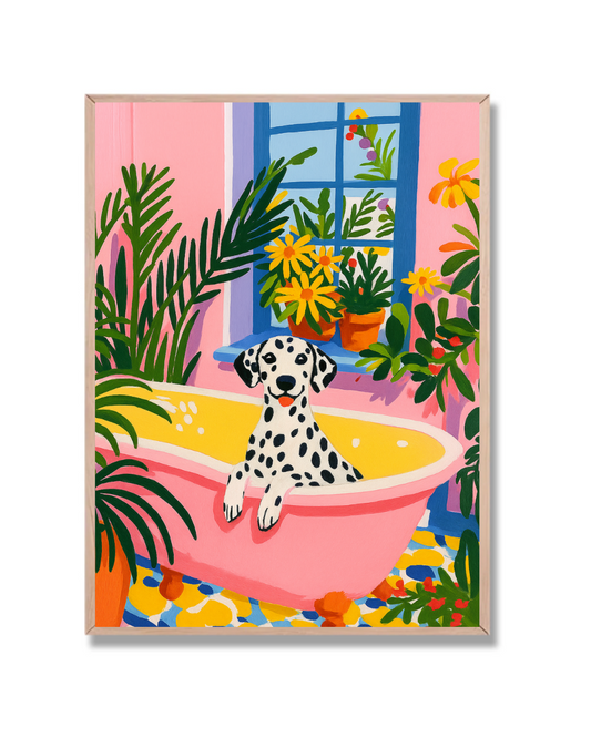 Perro Dálmata Baño