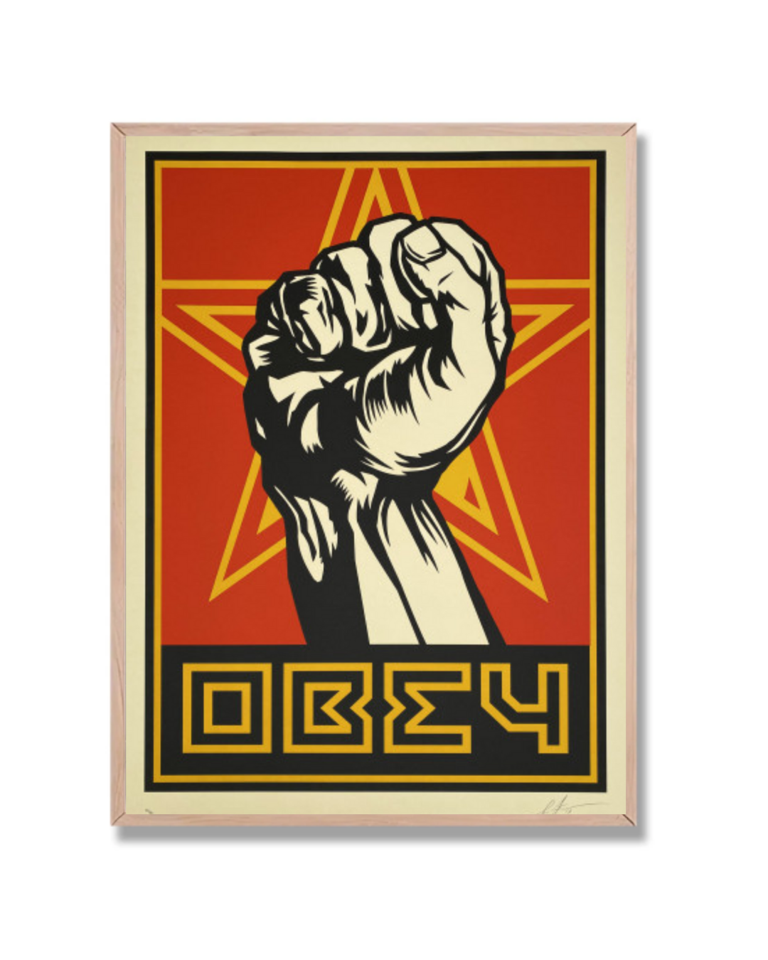 Shepard Fairey #2