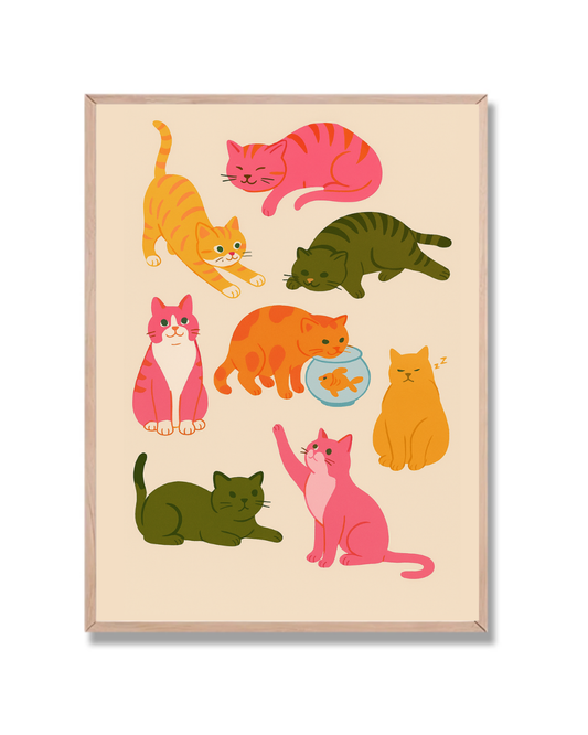 Gatos Multicolor