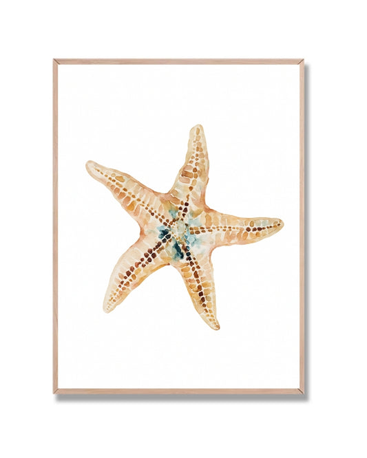 Estrella de mar acuarela #2