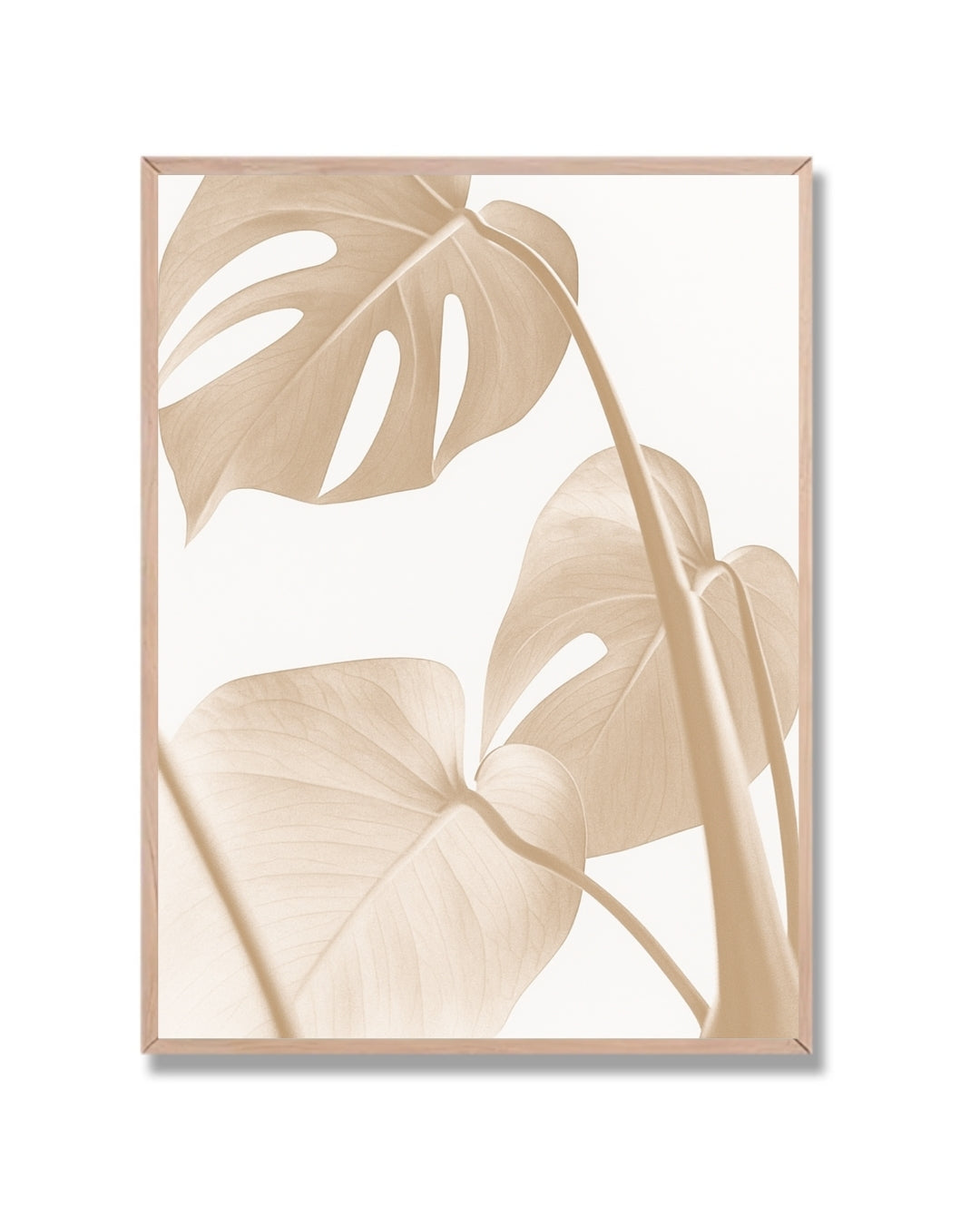 Monstera minimalista