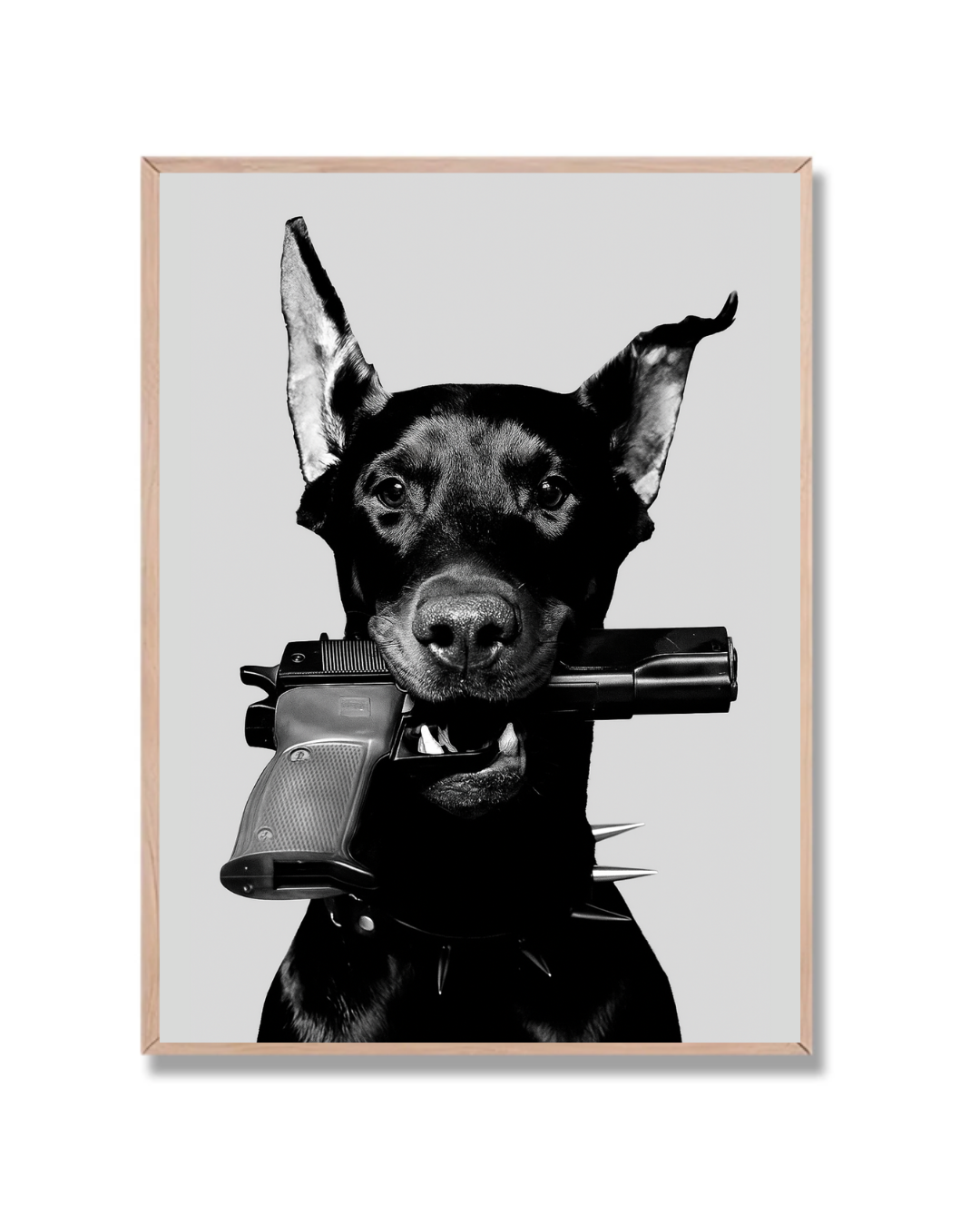 Doberman armado
