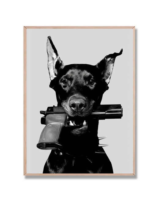 Doberman armado