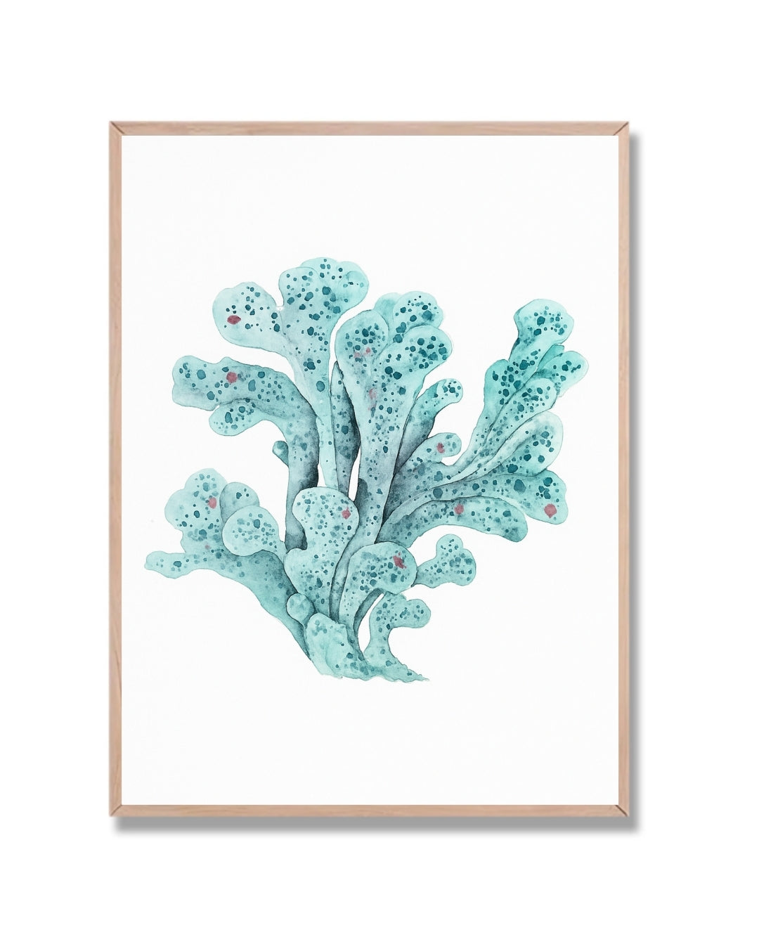 Coral marino #1