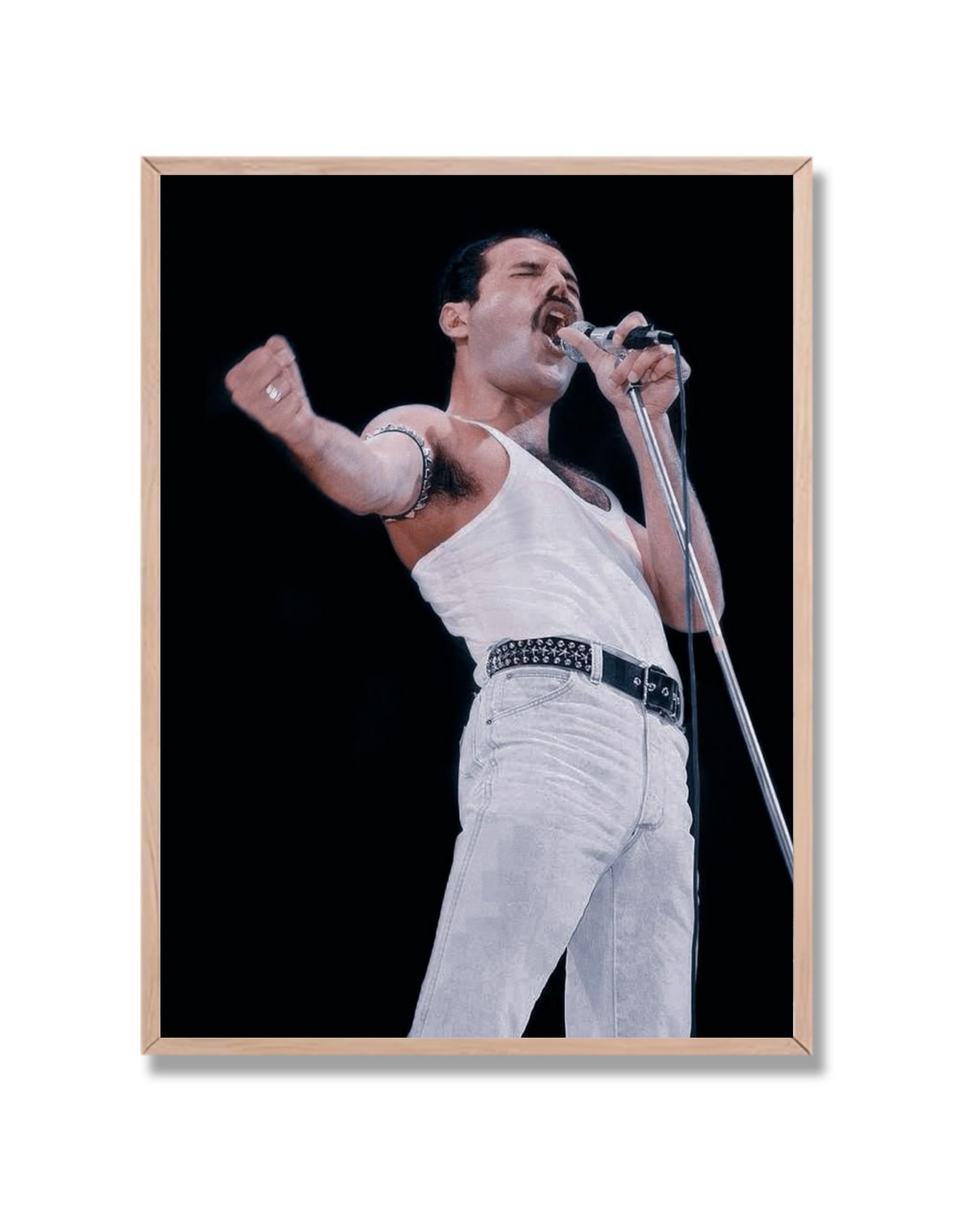 Freddy Mercury 6