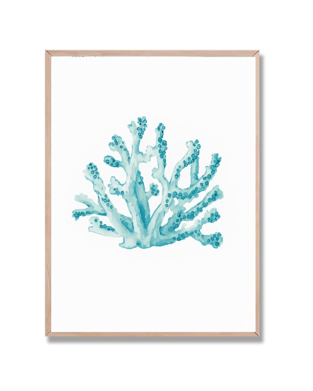 Coral marino #3