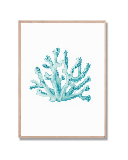 Coral marino #3