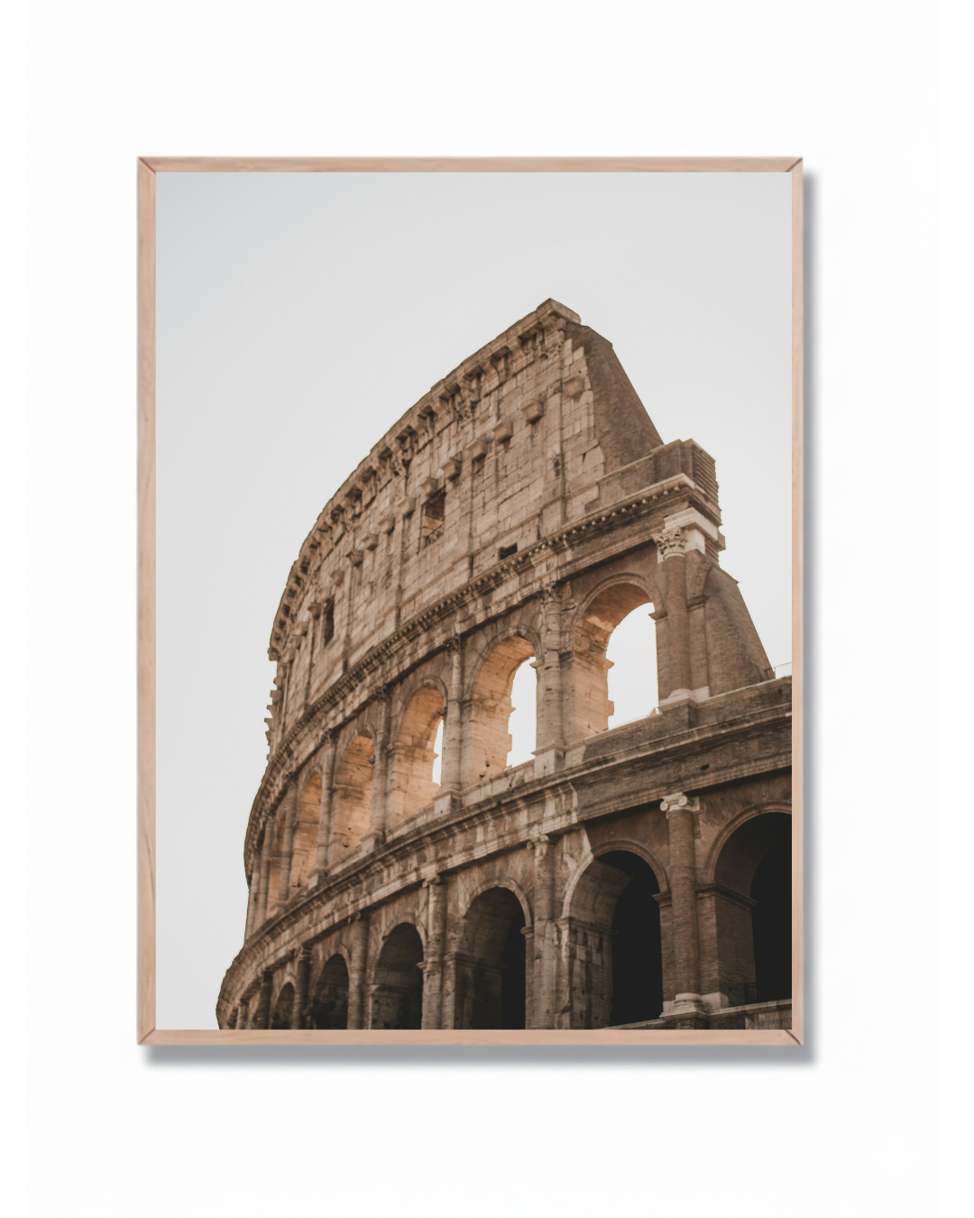 Coliseo Roma #6