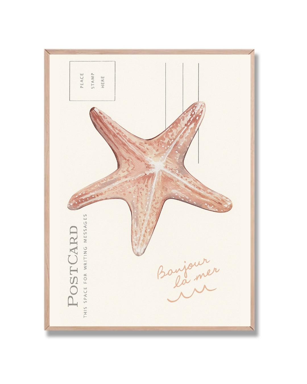 Postal estrella de mar