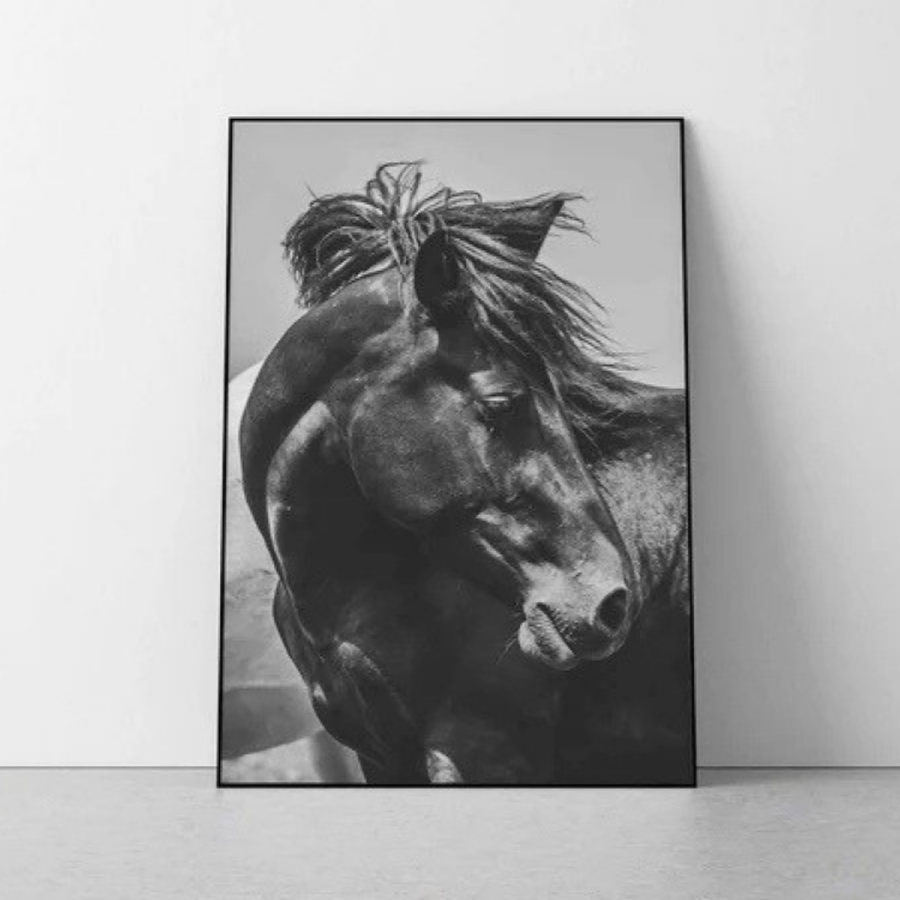 Individual Caballo Nocturno