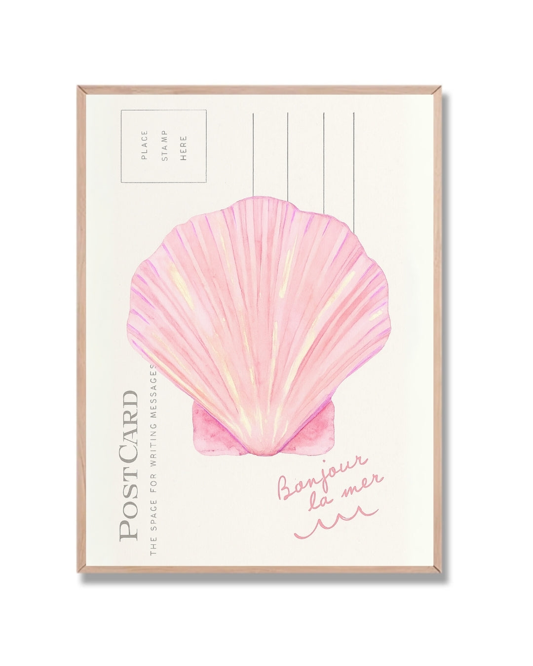 Postal concha de mar