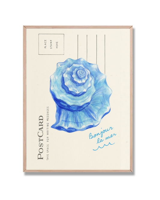 Postal caracol de mar