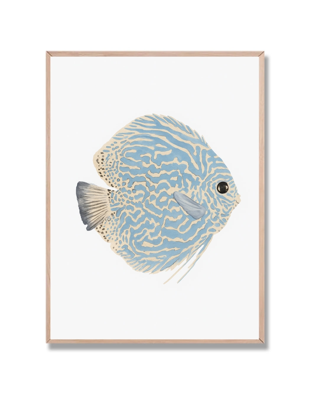 Pez tropical celeste