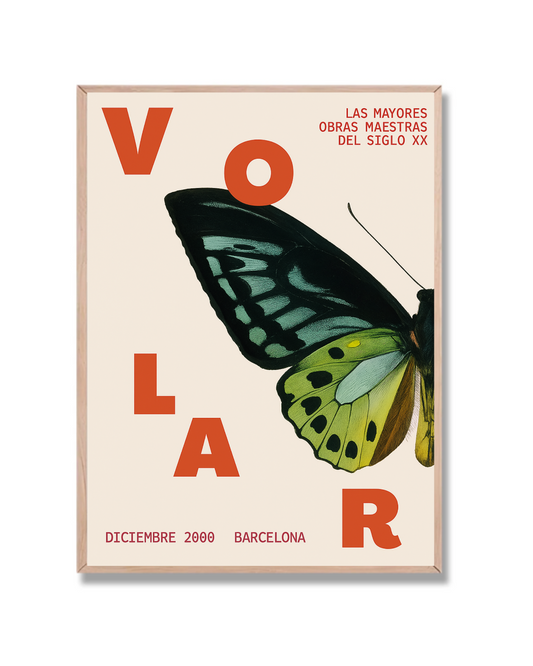 Mariposa Volar
