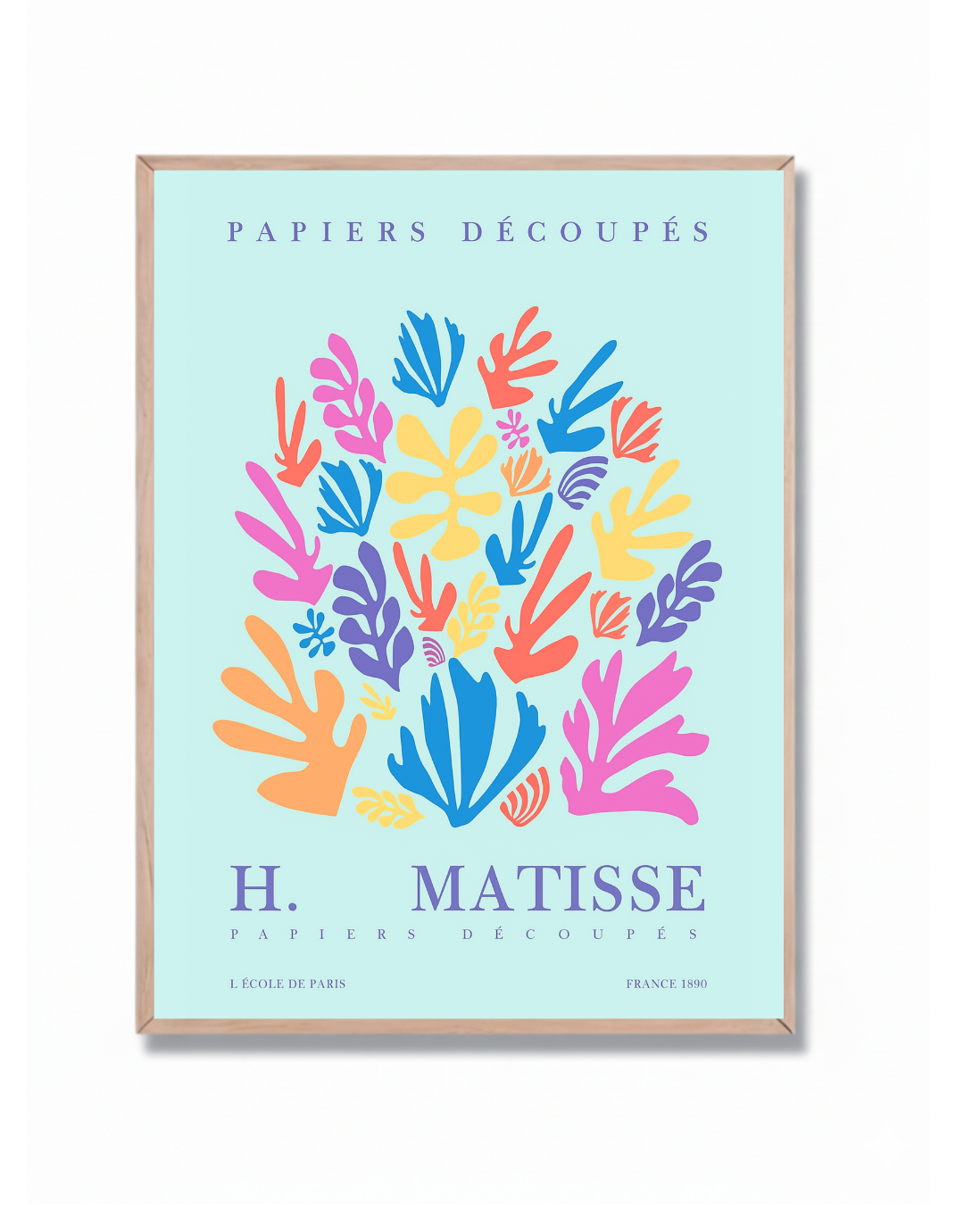 Matisse #81