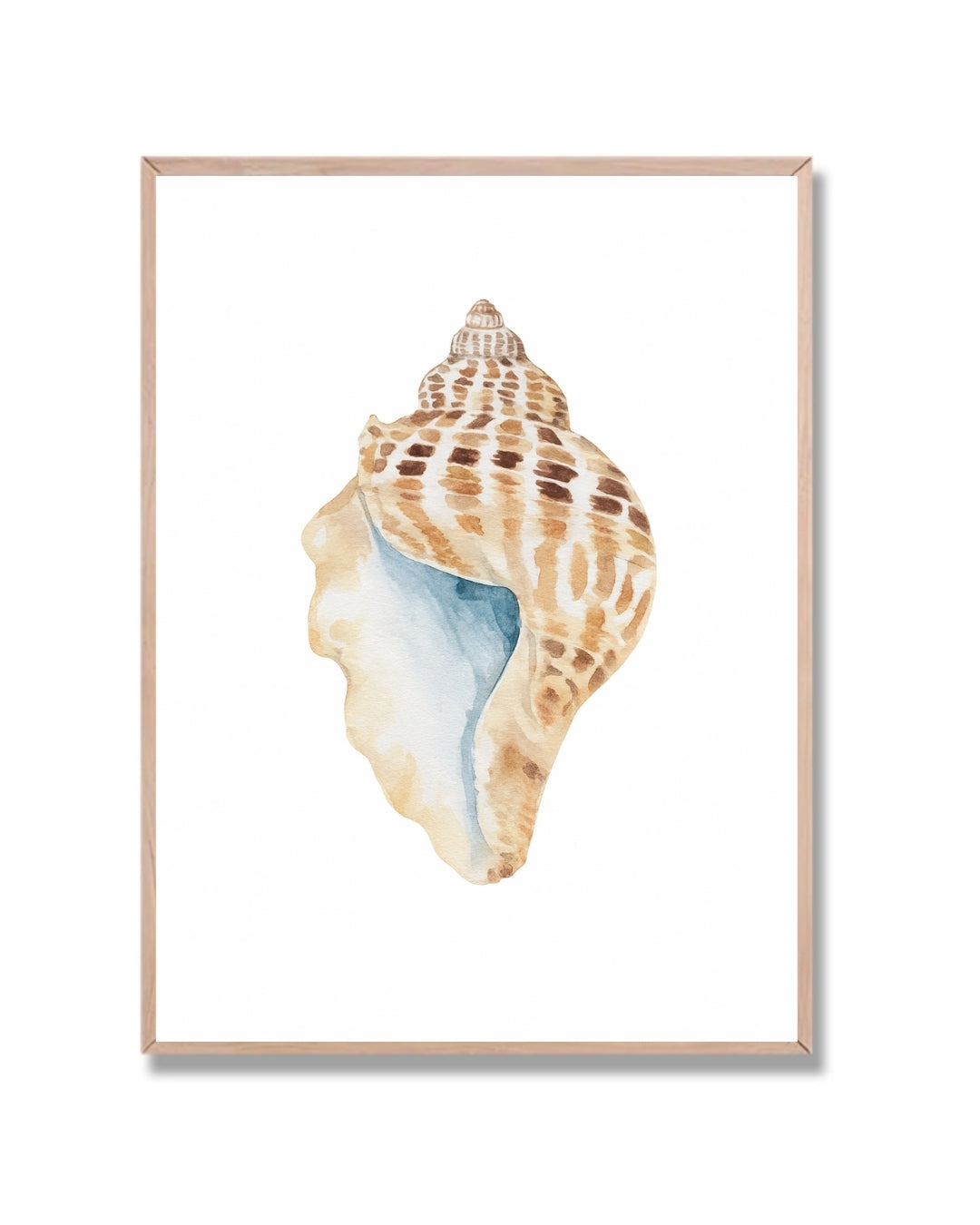 Caracol de mar estilo acuarela