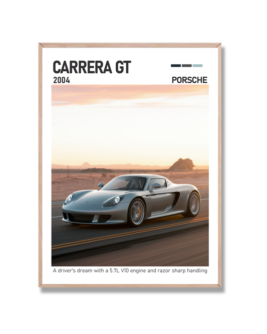 Porsche Carrera GT #3