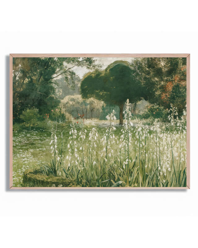 Campo
