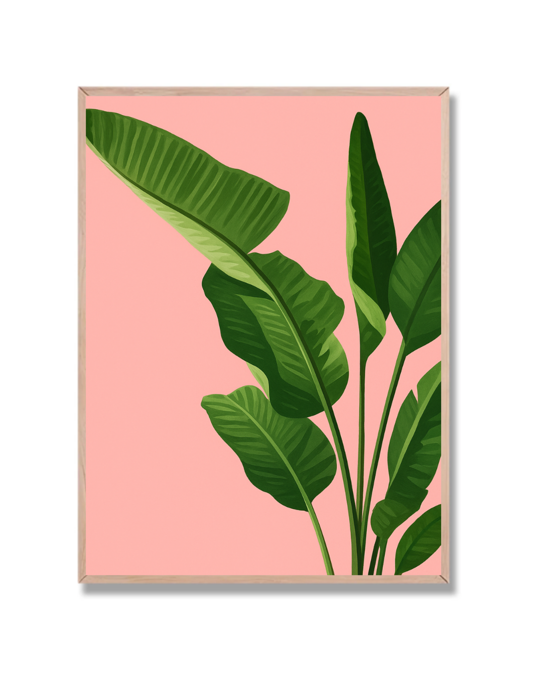 Planta y Rosa