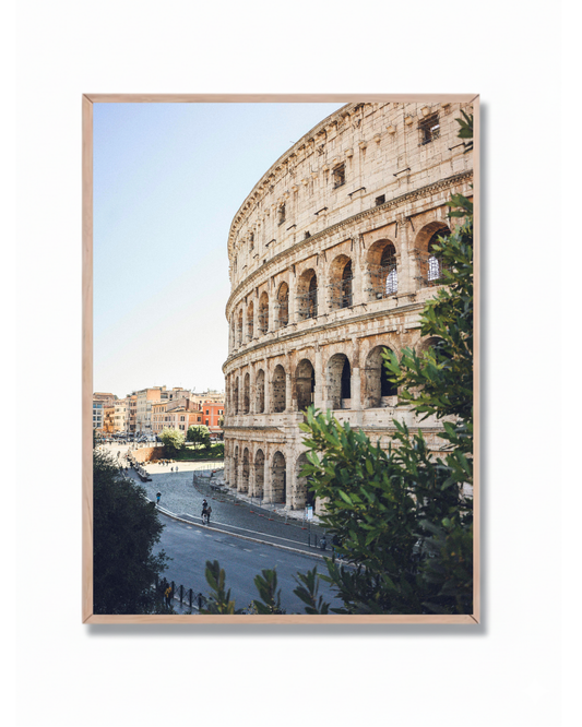 Coliseo Roma #6