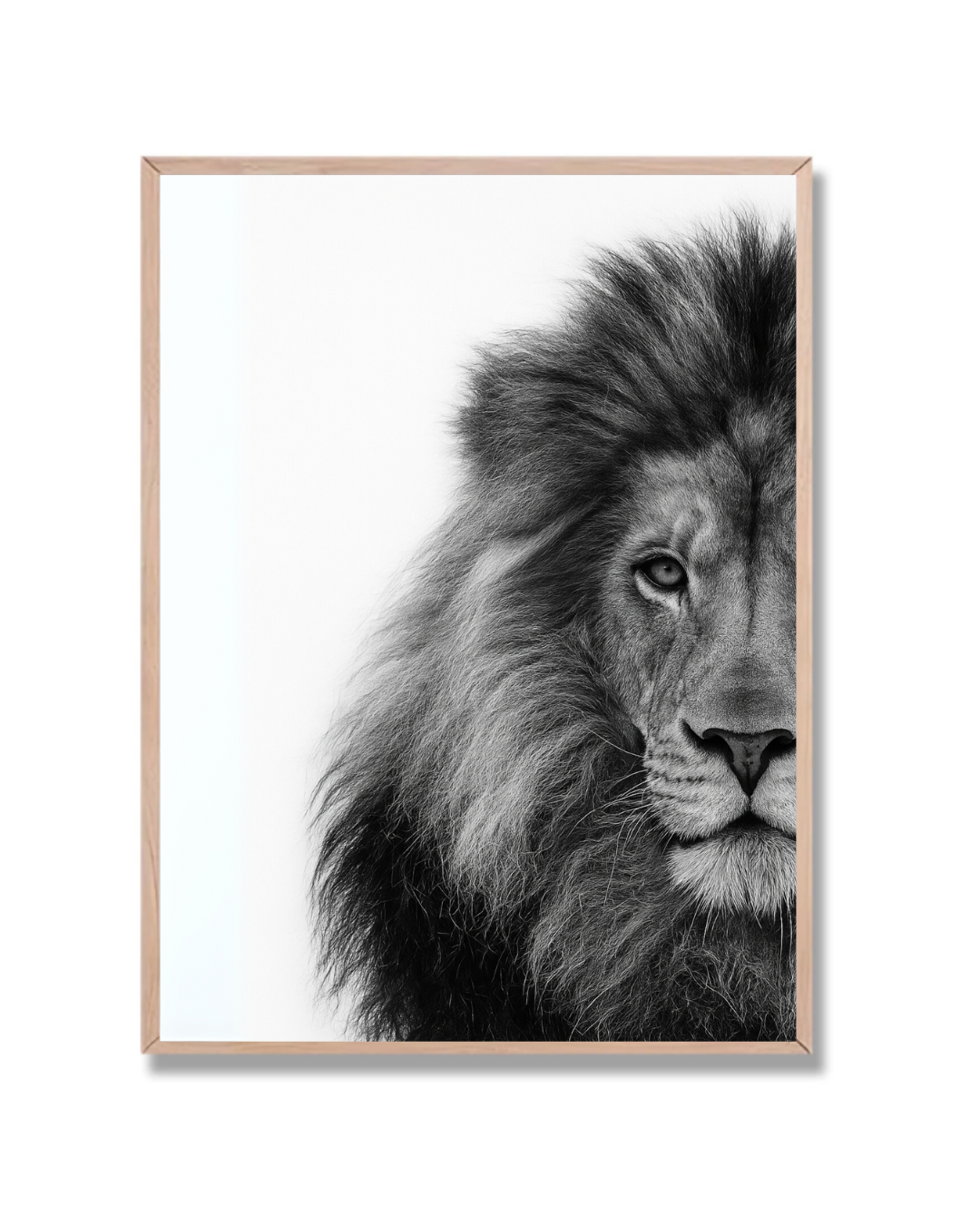 León #2