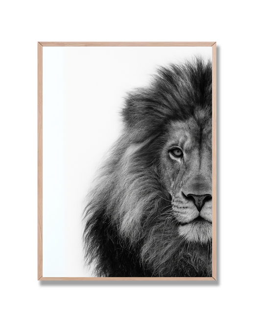 León #2
