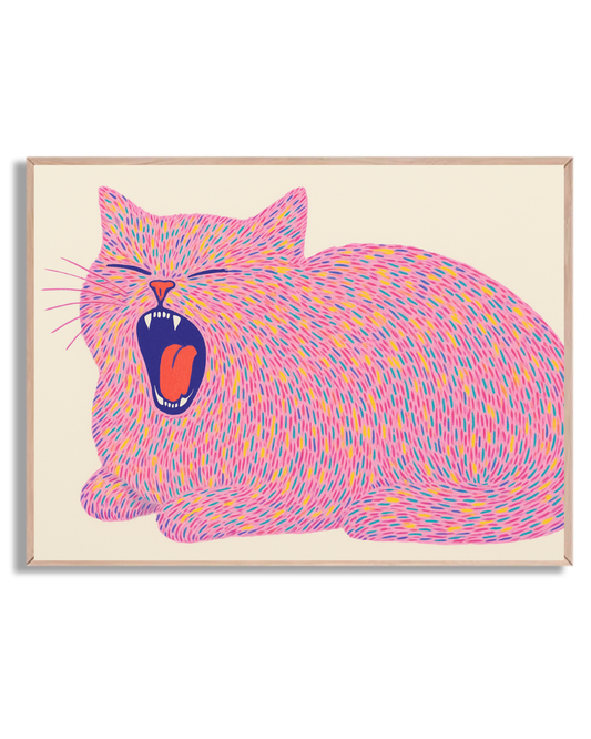 Gato explosivo