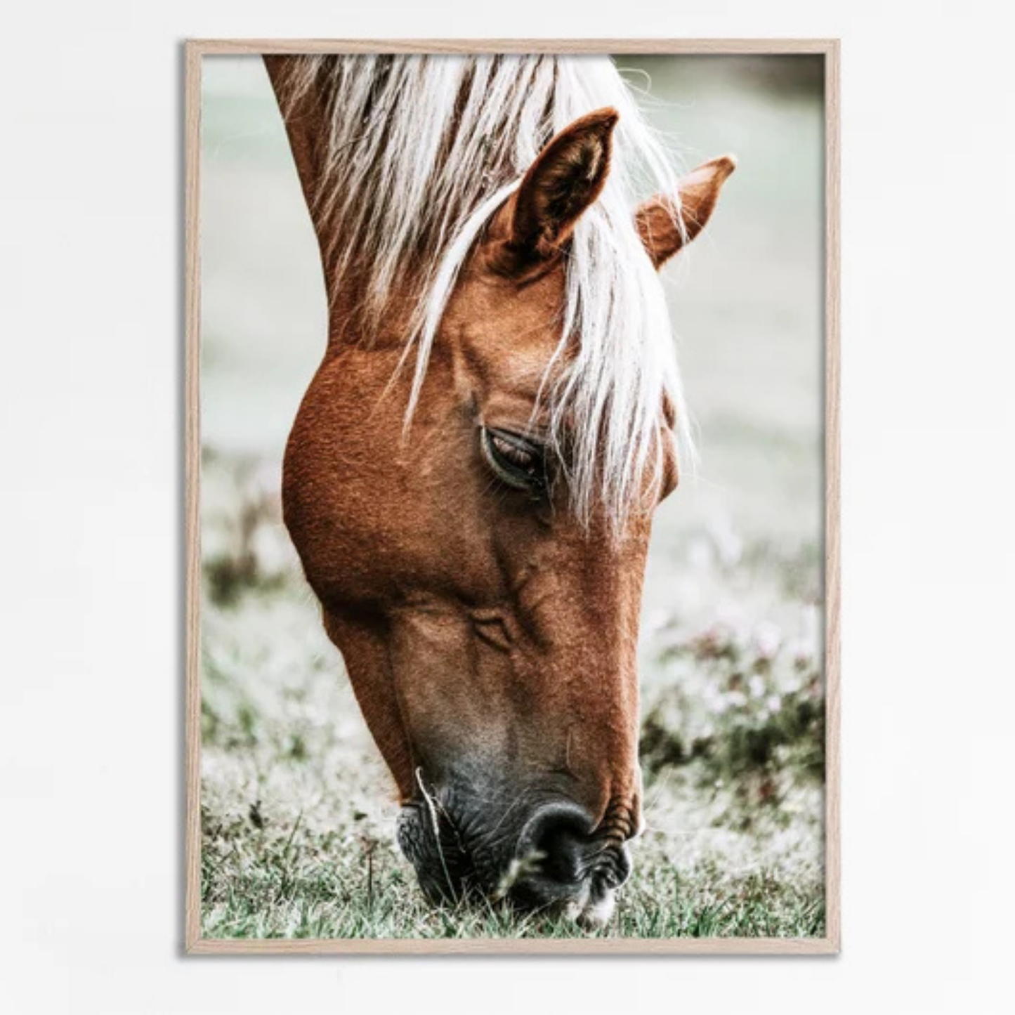 Individual Caballo en el Campo