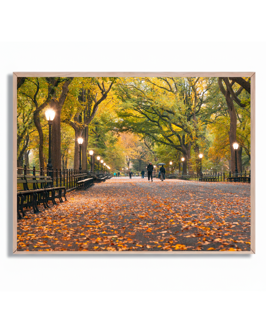 Central Park Otoño