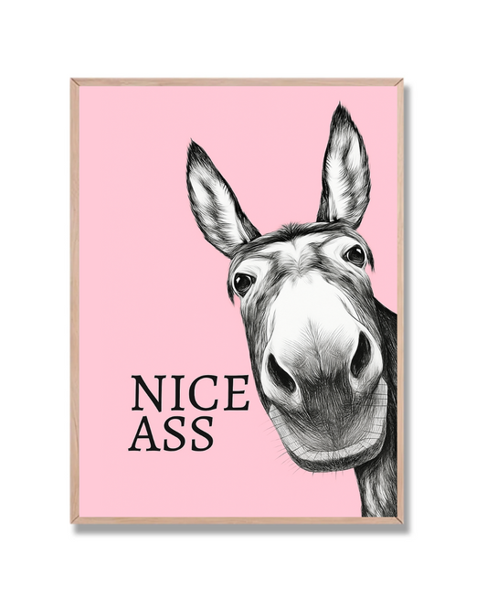 Nice Burro