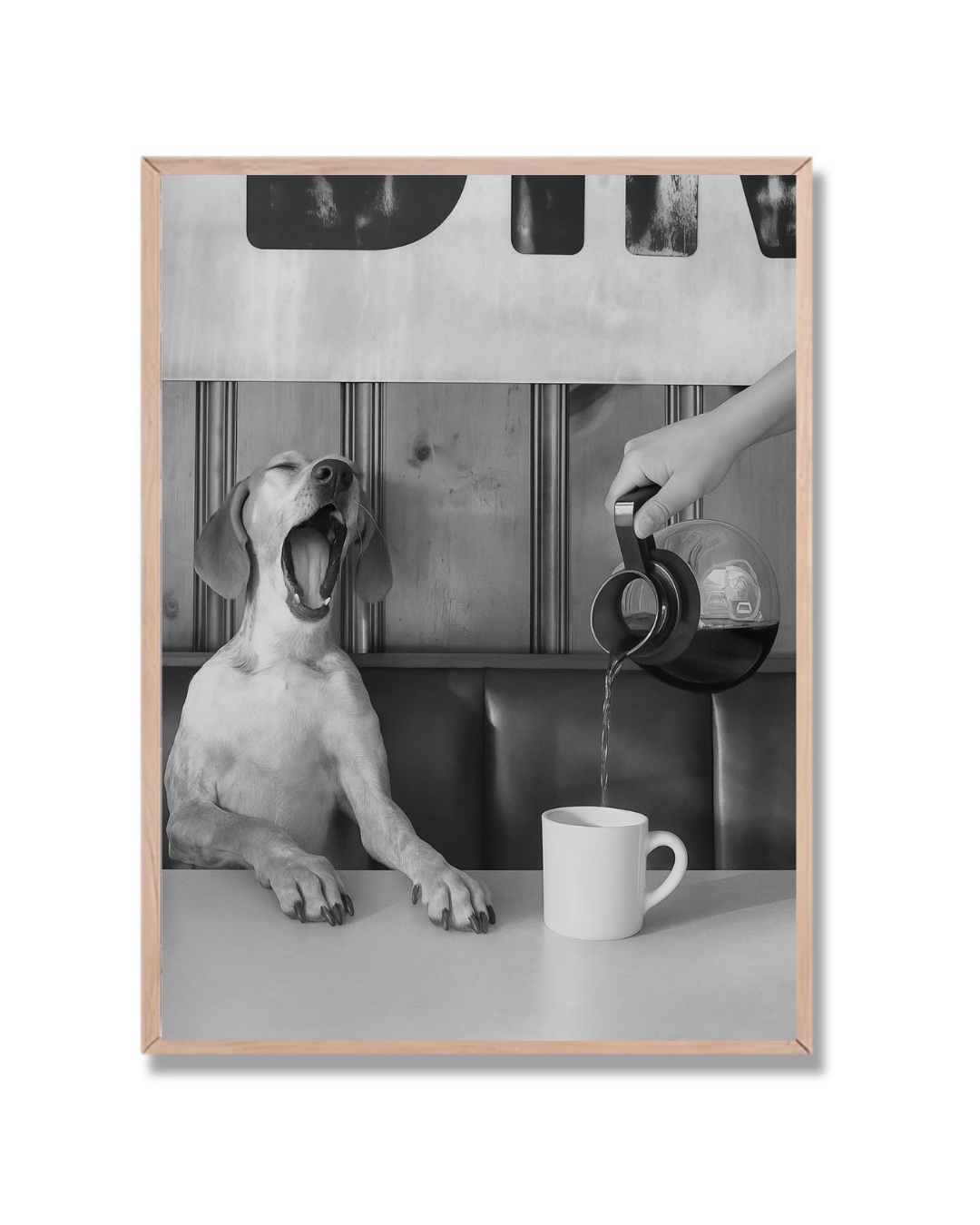 Perro bostezando con café