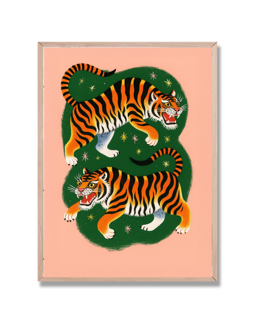 Tigres enfrentados