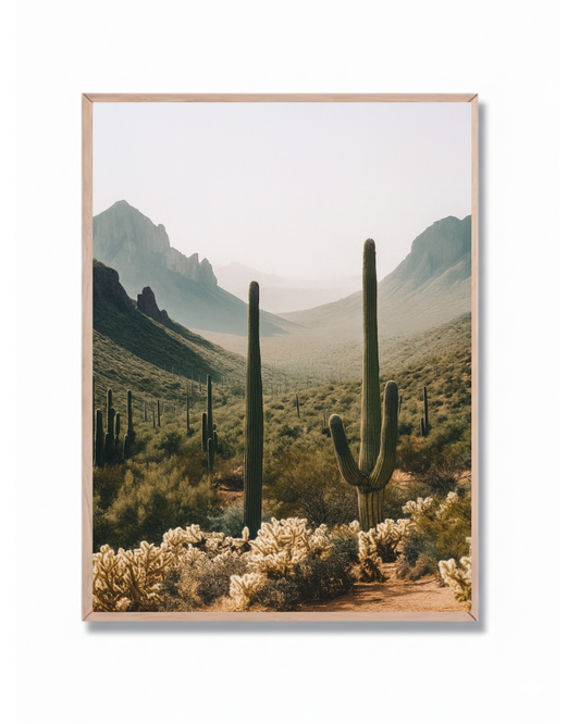 Cactús y Montañas #3