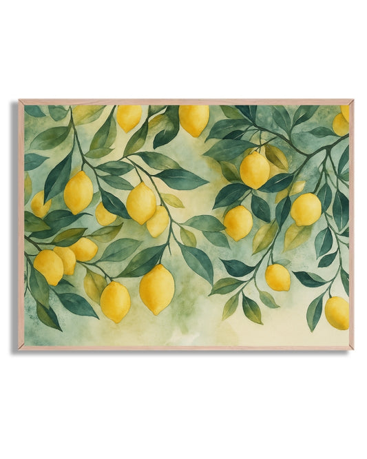 Limones