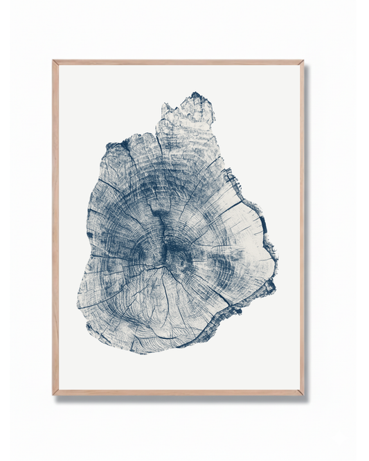 Anillos Árbol Azul #1