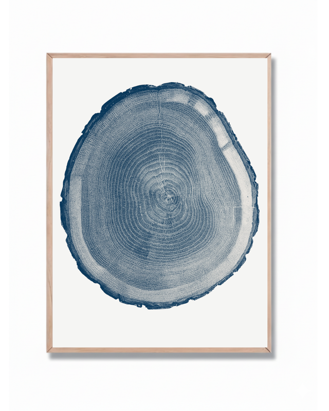 Anillos Árbol Azul #2