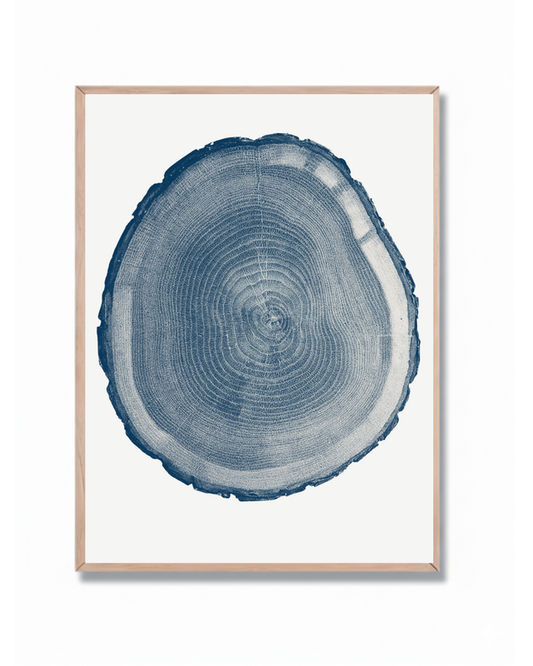 Anillos Árbol Azul #2