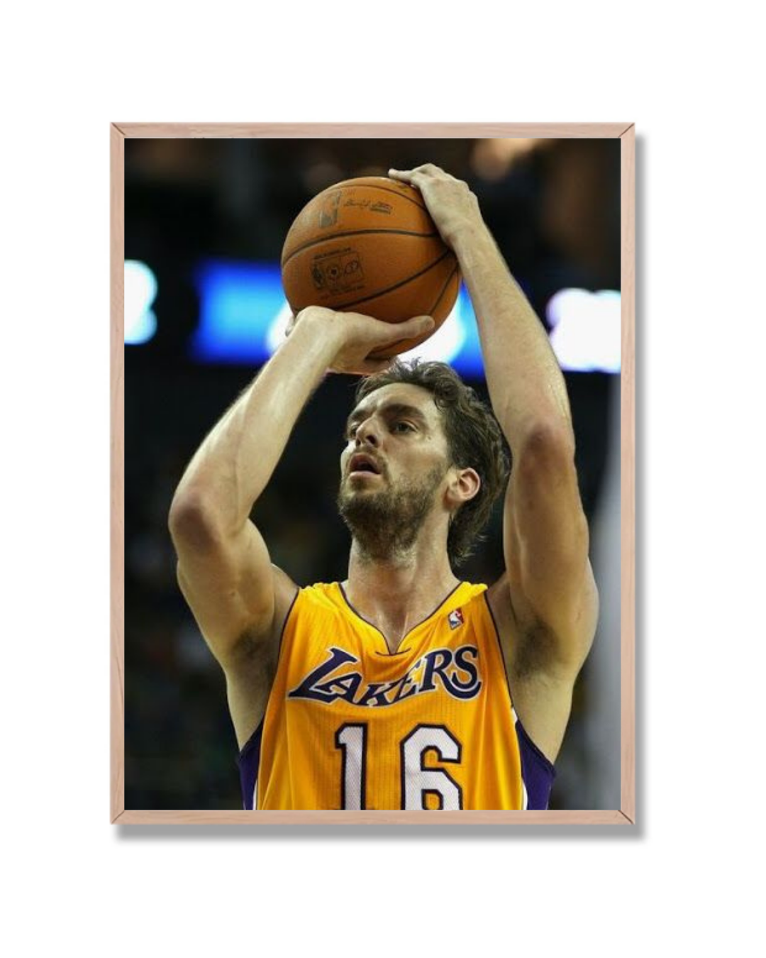 Paul Gasol #3