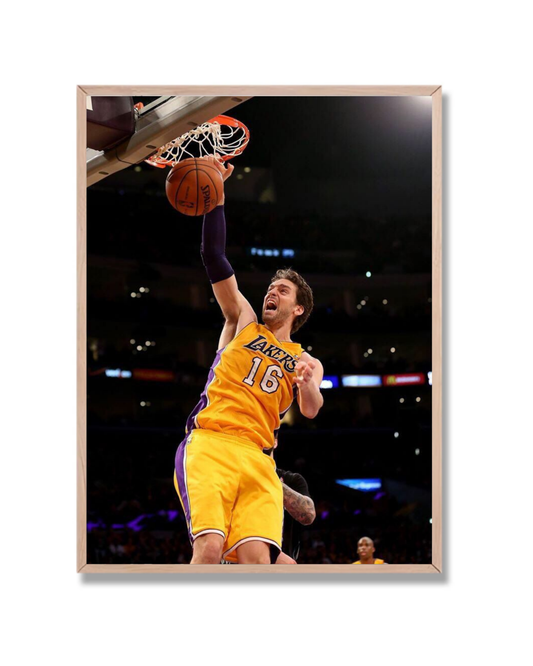 Paul Gasol #2