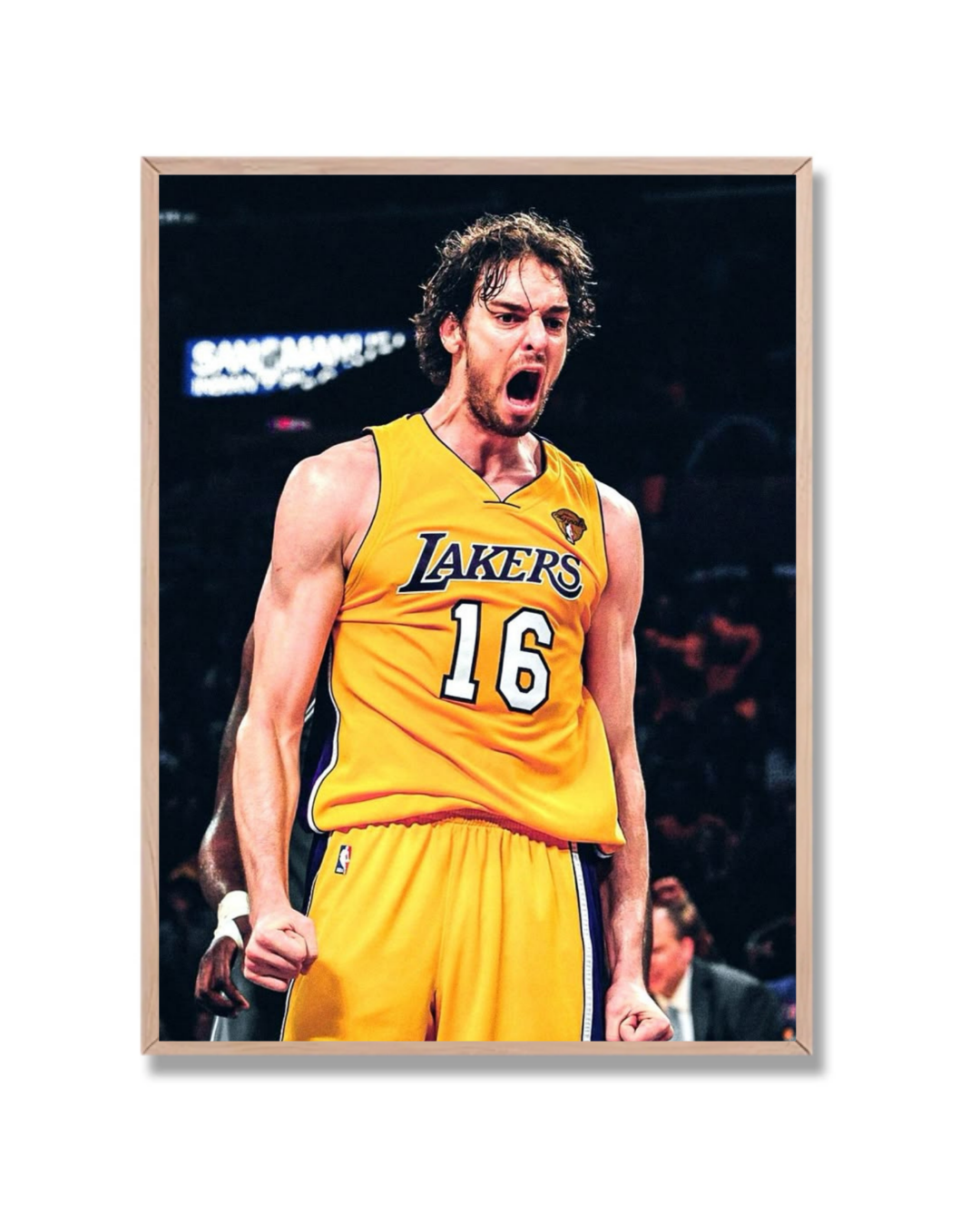 Paul Gasol #1