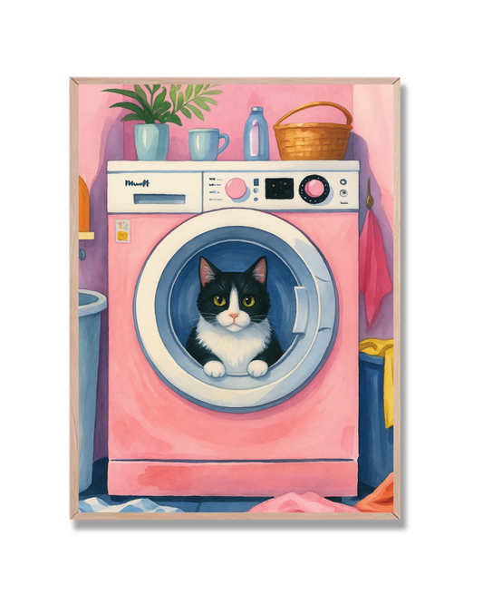 Gato Lavarropas