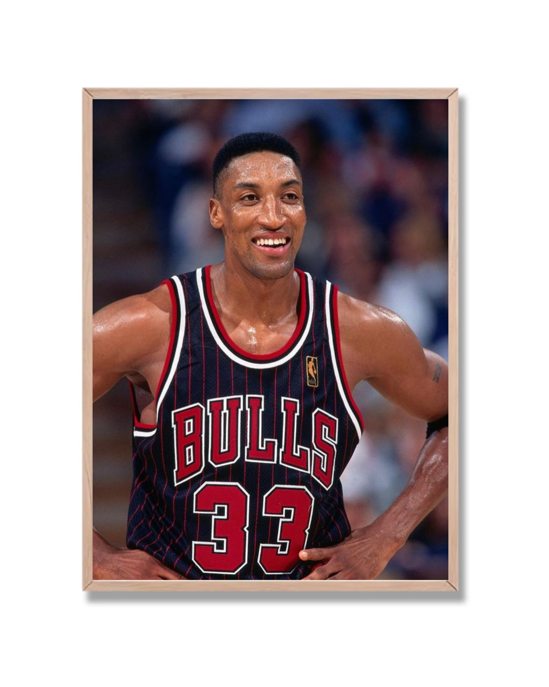 Scottie Pippen #2