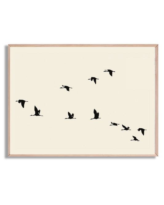Aves en vuelo
