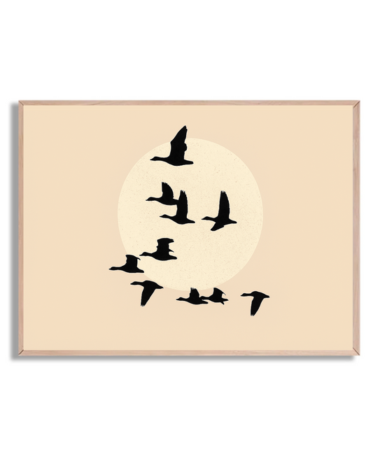 Aves al atardecer